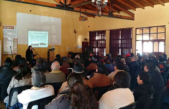 Implantaron macroparcelas de comino y anís en Salta, Catamarca y Tucumán