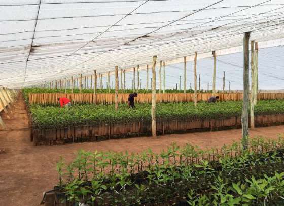 El Gobierno se interiorizó sobre el proyecto de expansión de una empresa agroindustrial