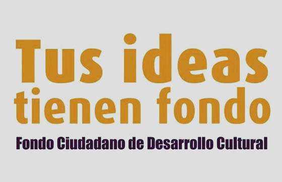 Continúa la devolución de proyectos a postulantes del Fondo Ciudadano