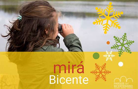 Observación de aves en el Parque del Bicentenario