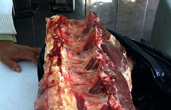 El Registro de Operadores decomisó 440 kilos de carne proveniente de faena clandestina