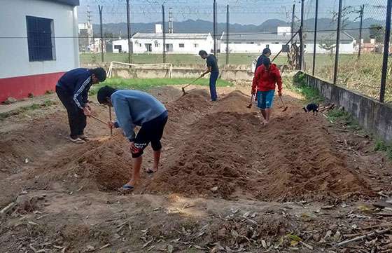 Jóvenes en conflicto con la ley se capacitan y trabajan para cambiar su futuro