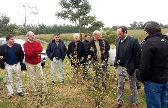 Funcionarios provinciales y nacionales visitaron una empresa de producción de arándanos en Metán