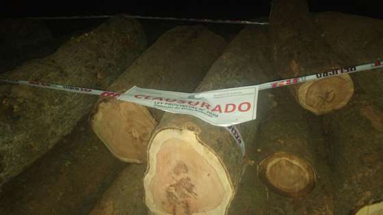 Intensifican los controles de madera en rutas