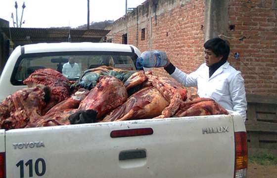 Decomisaron 255 kilos de carne proveniente de la faena clandestina