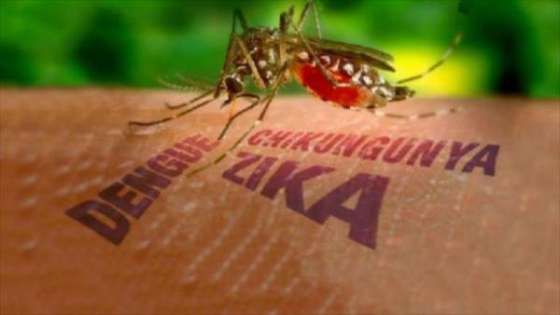 Provincia y municipios trabajan en el plan de control del vector transmisor del dengue, chikungunya y zika