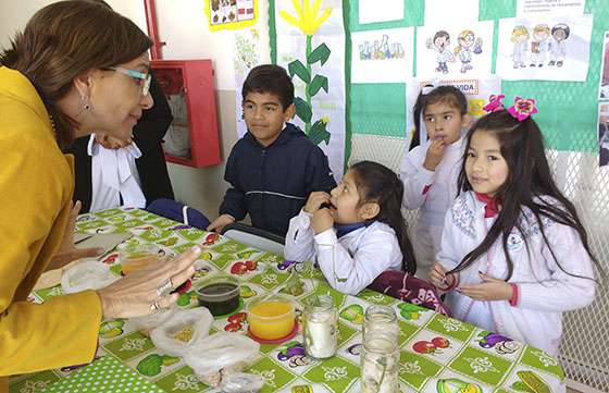 Se realiza en toda la provincia la instancia zonal de la Feria de Ciencias