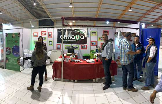 La Provincia y siete empresas salteñas participan en la ExpoChaco