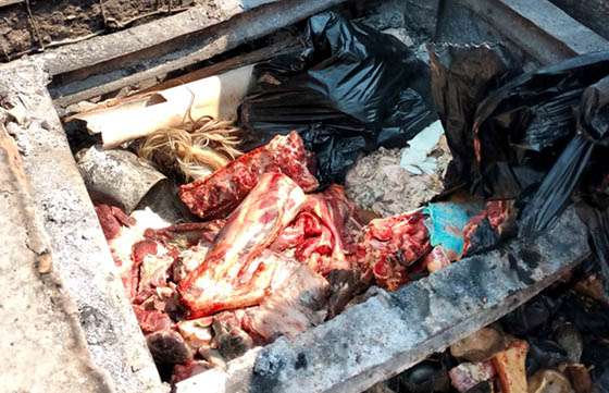 Realizaron en Tartagal decomisos de carne proveniente de la faena clandestina