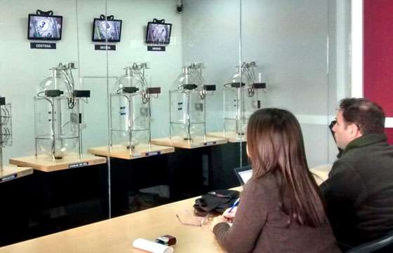 Tres familias del interior y una de Capital ganaron el sorteo del Cumplís y Ganas del IPV