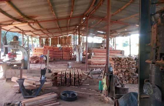El secretario de Asuntos Agrarios recibió a empresarios del sector foresto industrial