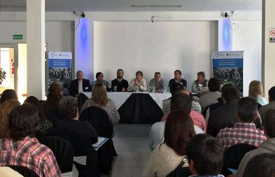 Salta participa en el Foro de Ovinos, Caprinos y Camélidos del NOA