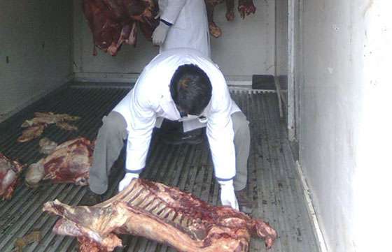 En localidades del norte decomisaron carne no apta para consumo humano