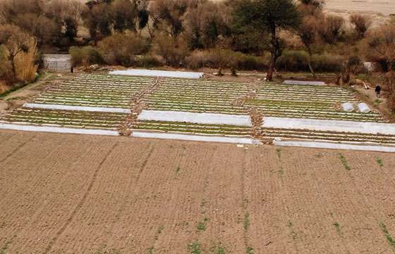 Productores de Cachi recibieron capacitación en buenas prácticas agrícolas