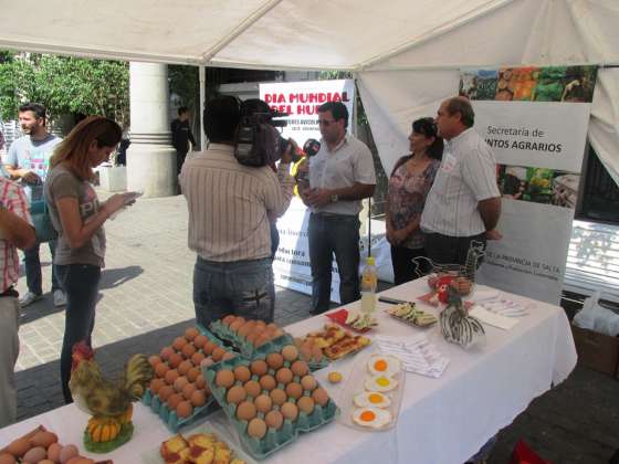 Destacan las propiedades nutritivas y alimenticias del huevo de gallina