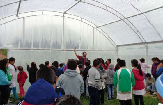 Niños del departamento San Martín sembraron árboles nativos para su comunidad
