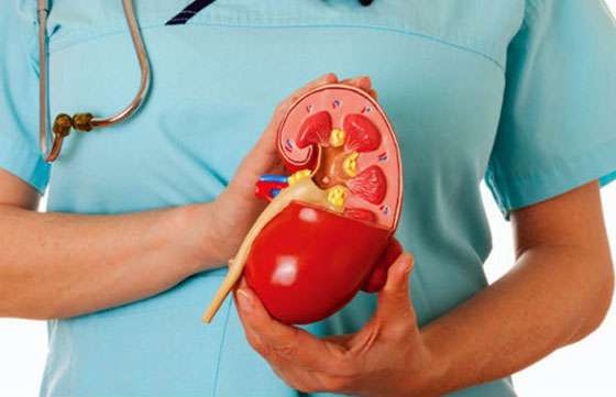 Curso virtual y gratuito: abordaje de la Enfermedad Renal Crónica en el Primer Nivel de Atención