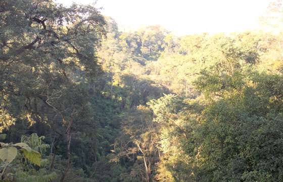 Salta refuerza la protección ambiental con imágenes satelitales