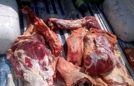 Decomisaron 400 kilogramos de carne proveniente de la faena clandestina
