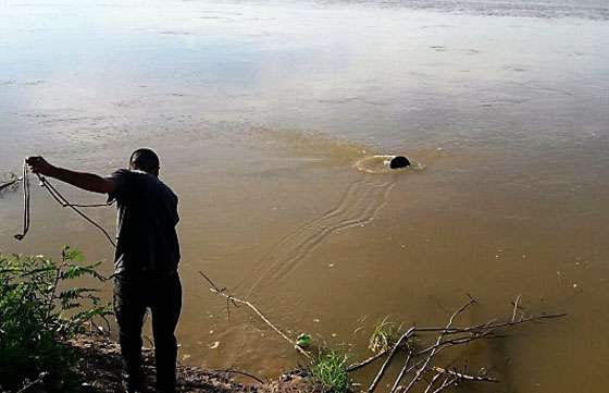La Secretaría de Ambiente realizó controles de fauna ictícola en el río Bermejo