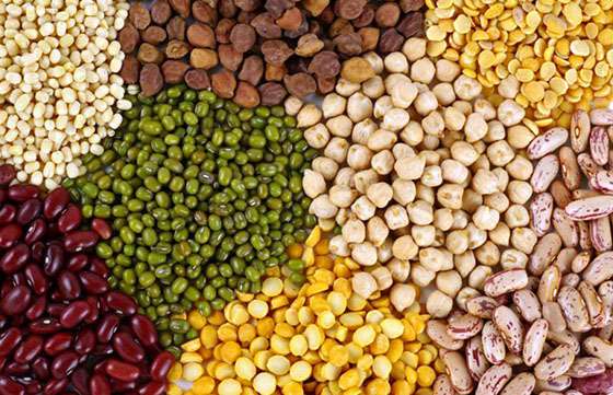 Inauguran las jornadas nacionales Valor Agregado en los Alimentos