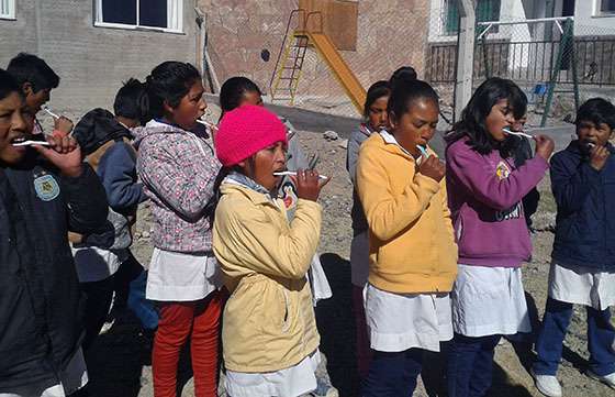 Atención odontológica a niños y jóvenes de Santa Rosa de los Pastos Grandes