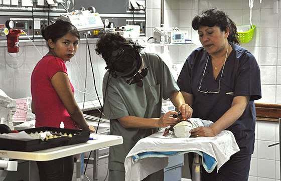 Se celebra el 3 de diciembre el Día del Médico