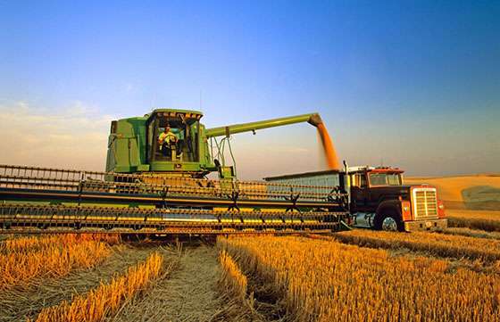 El Consejo Federal Agropecuario presentará un balance de sus actividades