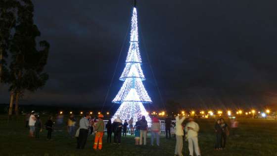 Se encendieron las luces de los árboles de Navidad en el Parque Bicentenario