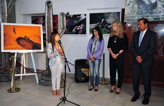 Presentaron la muestra de arte del Programa de Conservación del Cóndor Andino