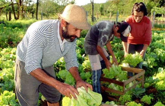 Presentarán el proyecto de inclusión socioeconómica en áreas rurales
