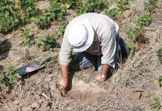 Realizan estudios de suelo en Salta