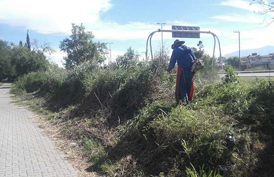 Tareas de desmalezado y limpieza en predios de la ciudad de Salta
