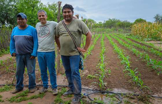 Familias del norte producen y comercializan sus frutas y verduras