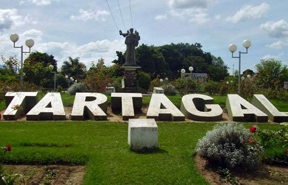 Analizan la situación en materia de violencia de género en Tartagal