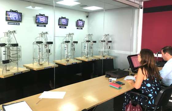 Familias de Capital y del interior ganaron en el sorteo del IPV para adjudicatarios con cuotas al día