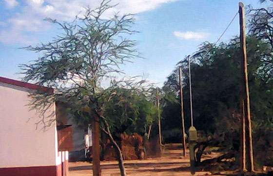 La Provincia realizó obras de electrificación en tres comunidades de Santa Victoria Este