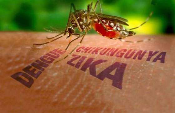 Epidemiología confirmó un caso de zika en Embarcación