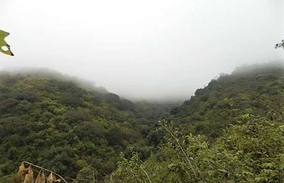 Salta suma una nueva área protegida en zona de yungas