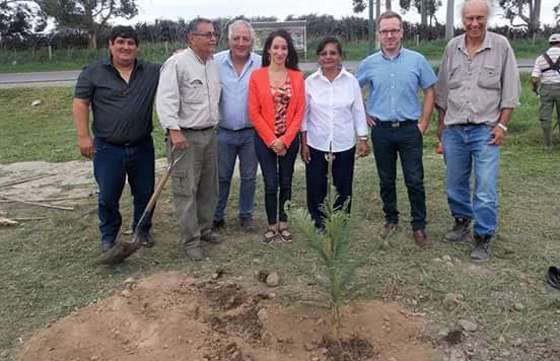 La Secretaría de Ambiente plantó árboles autóctonos en Campo Santo