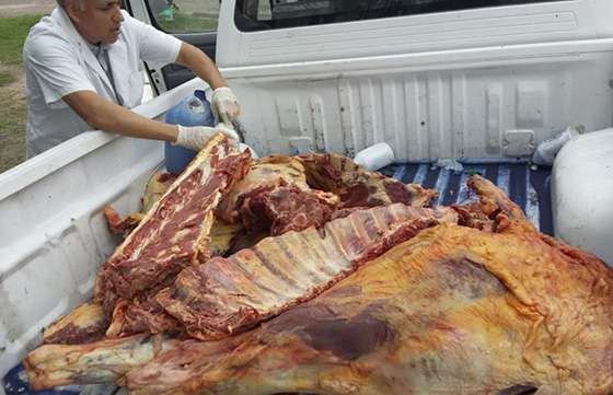 En el norte provincial decomisaron carne proveniente de la faena clandestina