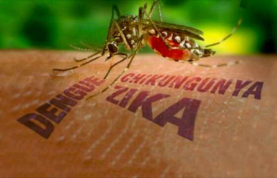 Salud solicita extremar las medidas de prevención para zika, dengue y chikungunya