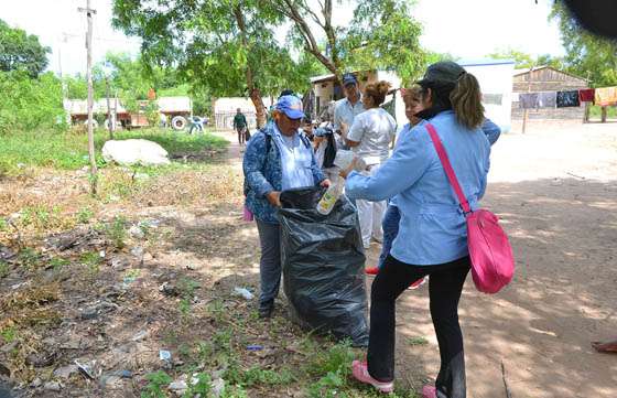 Disminuyeron un 75% los casos sospechosos de enfermedades transmitidas por Aedes