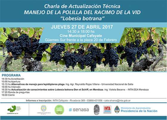 En Salta se ofrecerá una actualización técnica sobre manejo de polilla de la vid