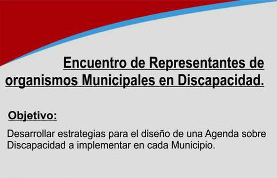 Encuentro de representantes de organismos municipales vinculados a discapacidad
