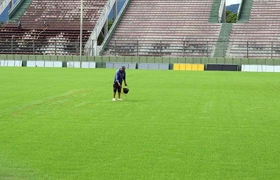Trabajos de resembrado en el estadio Martearena