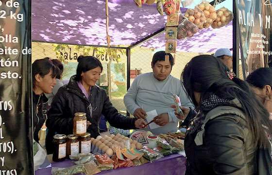 Productores, emprendedores y expertos expusieron toda la identidad y los sabores de los valles Calchaquies