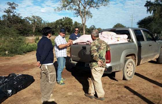 Familias criollas de los Lotes 55 y 14 de Santa Victoria Este recibieron semillas para pasturas