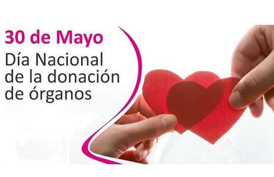 Actividades por el Día Nacional de la Donación de Órganos