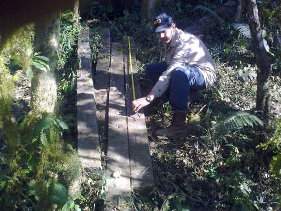 Ambiente actualizó el arancel en la tasa de inspección forestal 